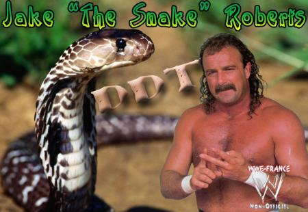 jake roberts