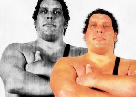 andre the giant