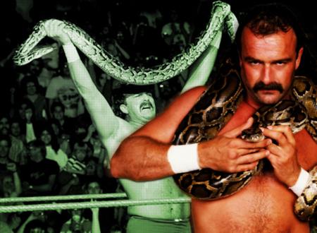 jake roberts
